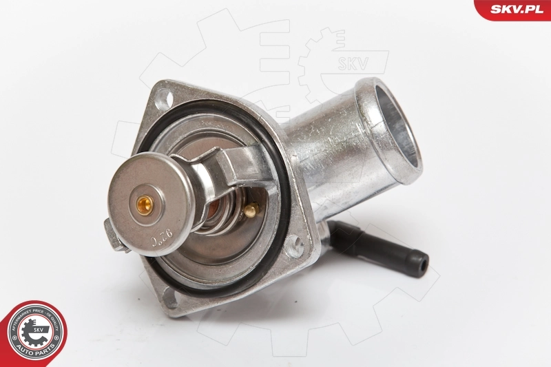 Thermostat, coolant